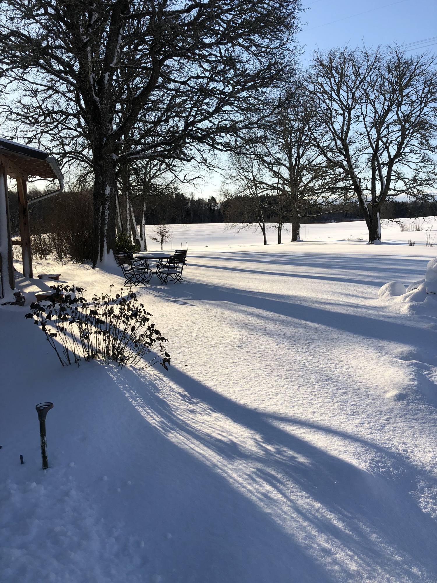 Verschneite Fläche mit den langen Schatten alter Bäume, links das Vordach des Hauses und geräumte Wege.