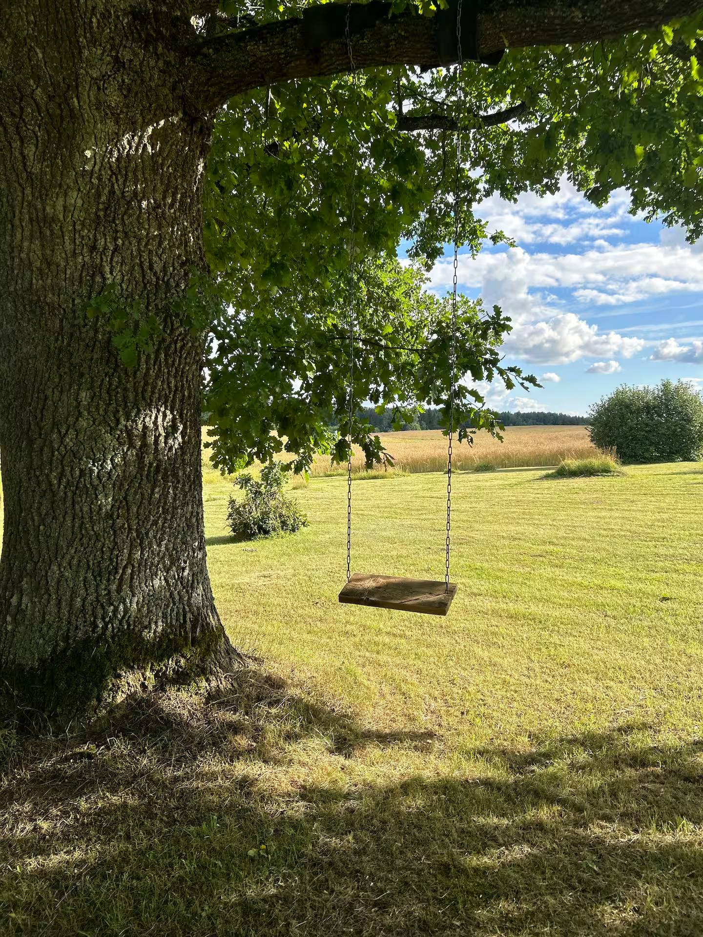 Holzschaukel an zwei langen Seilen unter dem Ast einer alten Eiche, dahinter Rasen und Felder.