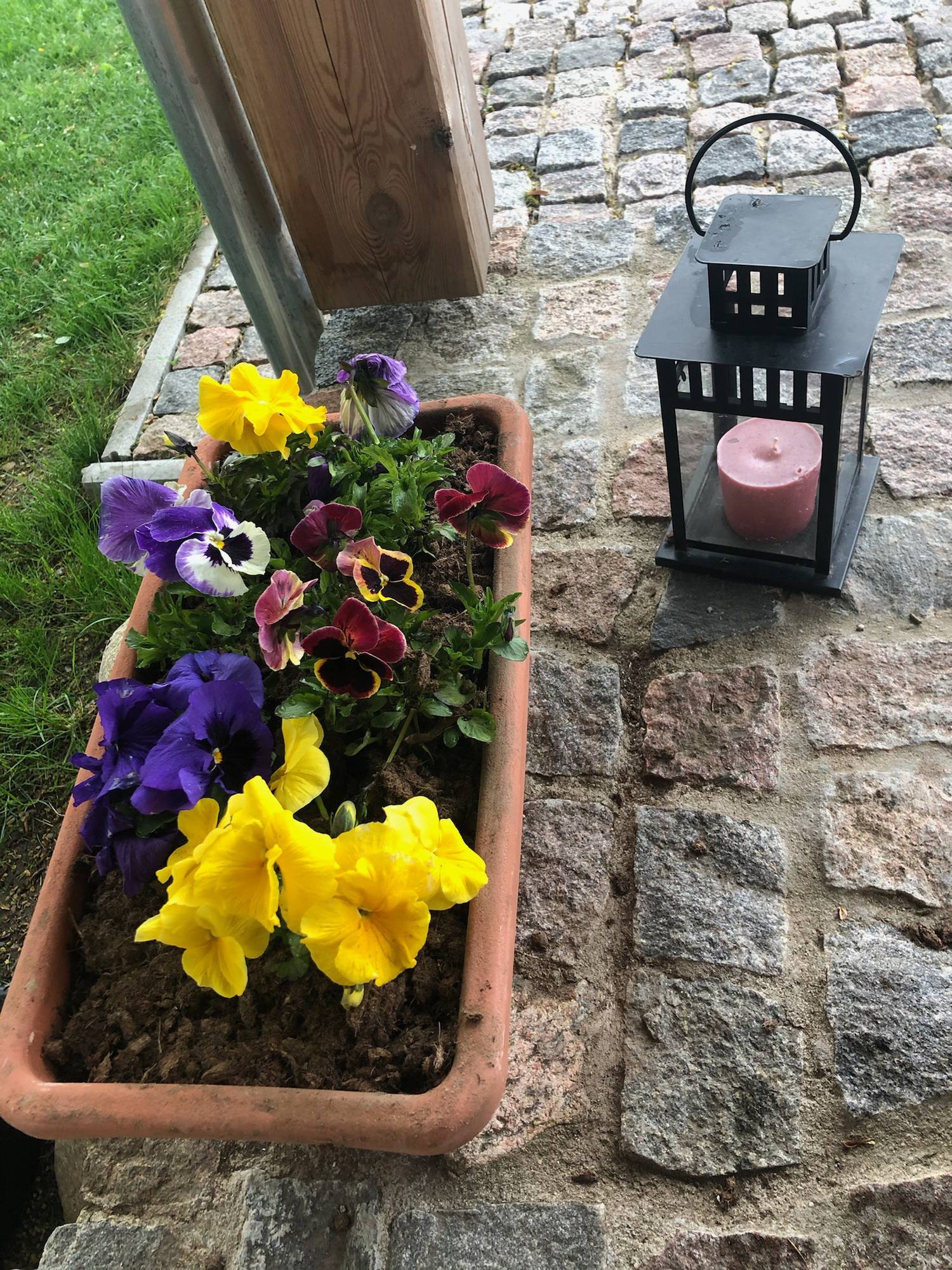 Blumenkasten mit gelben und violetten Stiefmütterchen auf einer Feldsteinmauer, daneben eine Laterne mit Kerze.