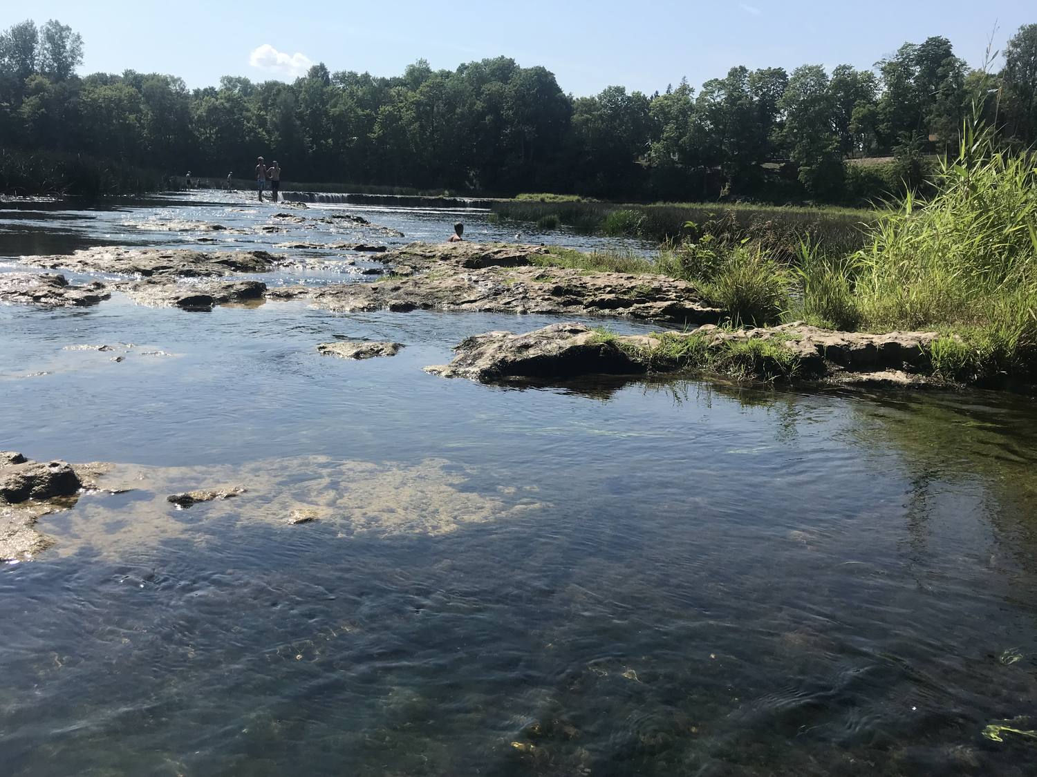 Blick vom Ufer auf die Stromschnellen: Wasser läuft über freiliegende Steinplatten, dahinter eine bewaldete Insel.
