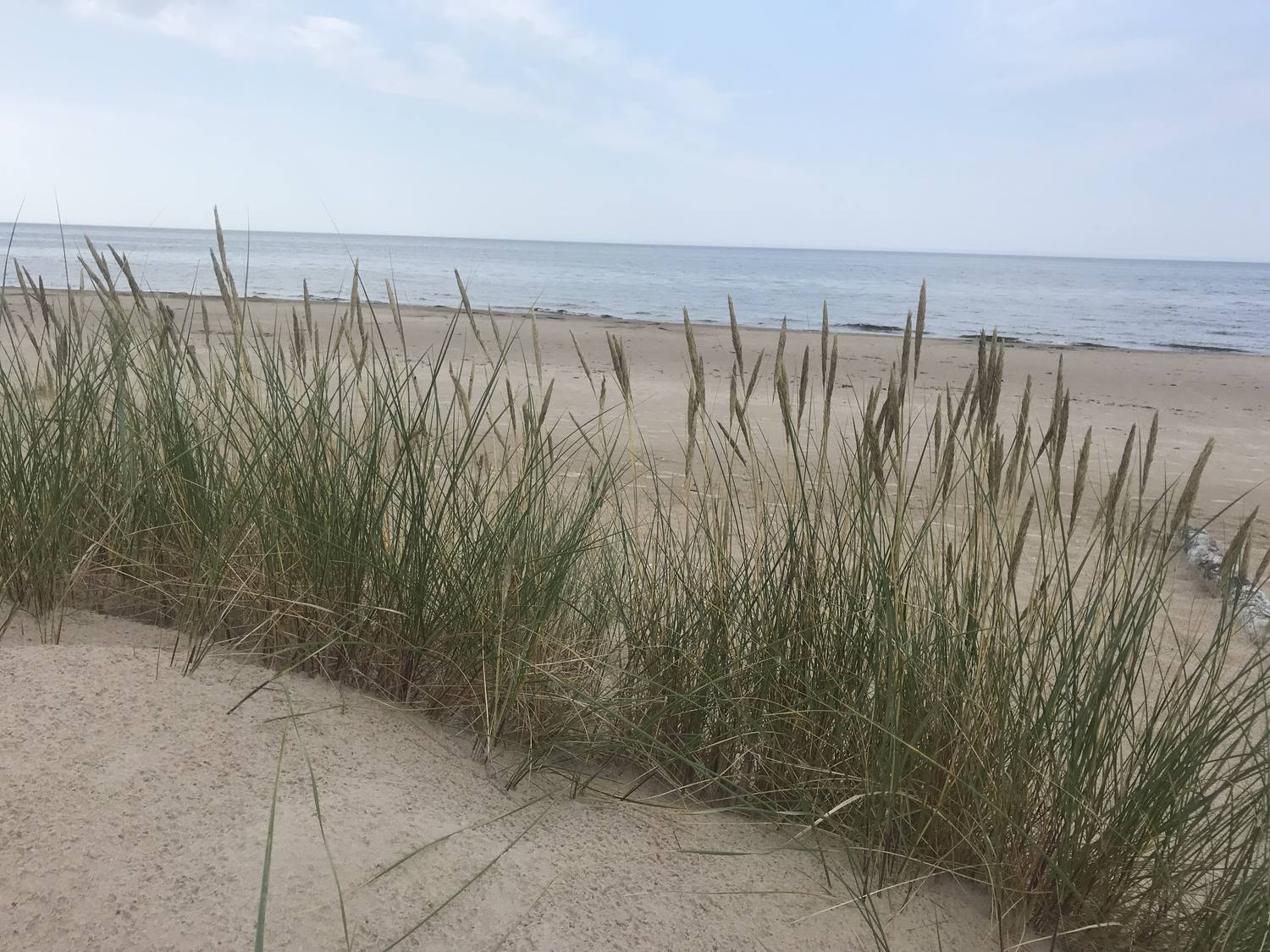 Flaches, klares Wasser am Sandstrand der Ostsee mit kleinen Wellen und einzelnen Steinen im Wasser.
