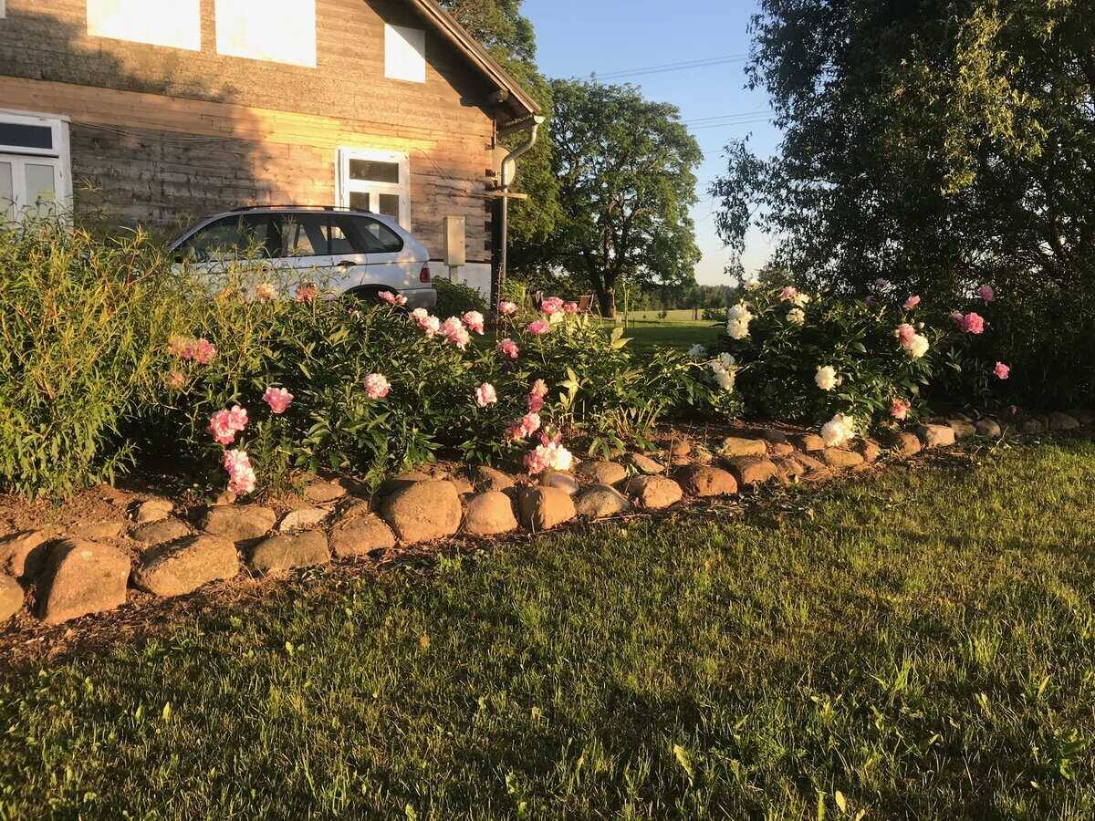 Beet mit rosa blühenden Rosen, von Feldsteinen eingefasst, entlang der Hauswand; dahinter Rasen und Gebüsch.