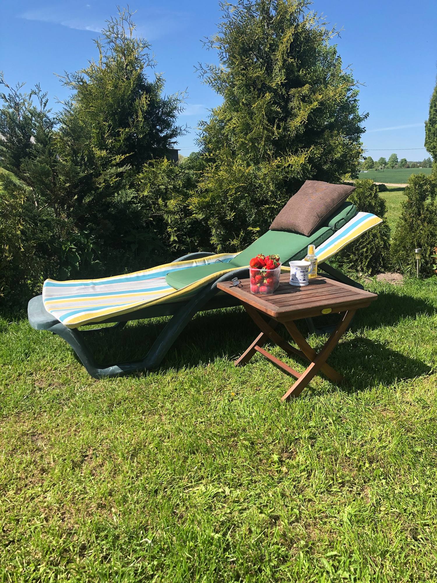 Sonnenliege mit gestreiftem Polster und kleinem Beistelltisch mit Früchten auf dem Rasen, dahinter hohe Bäume.
