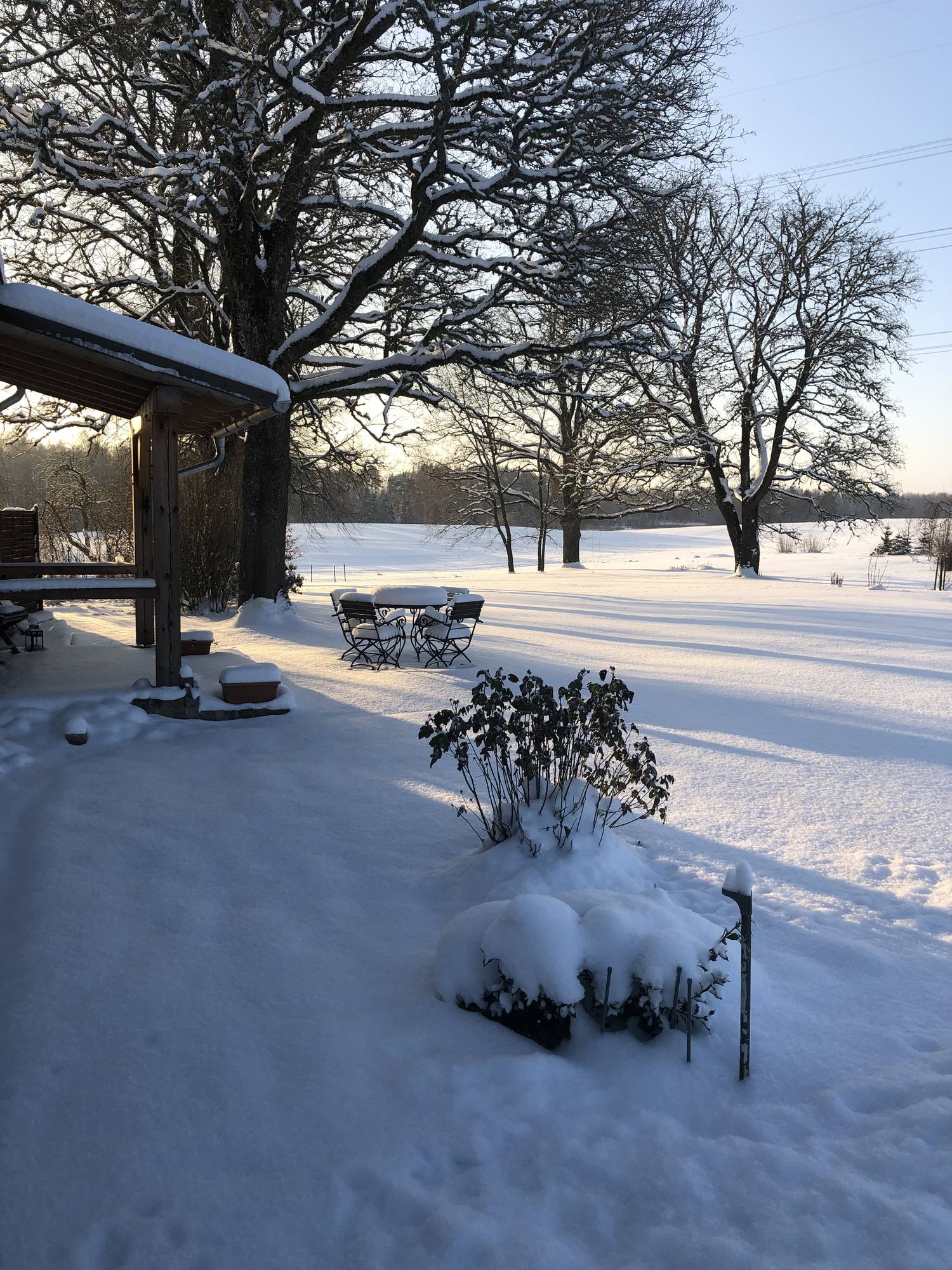 Schneebedeckte Terrasse mit Gartentisch und Stühlen unter kahlen Bäumen, dahinter die weiße Wiese.