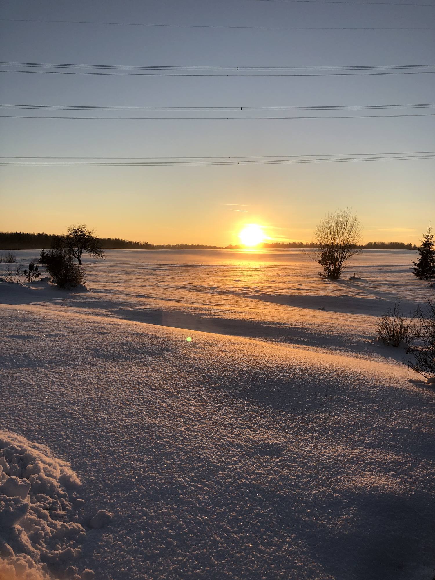Tief stehende Sonne über einer weiten Schneefläche, im Vordergrund Spuren im Schnee und niedriges Gesträuch.
